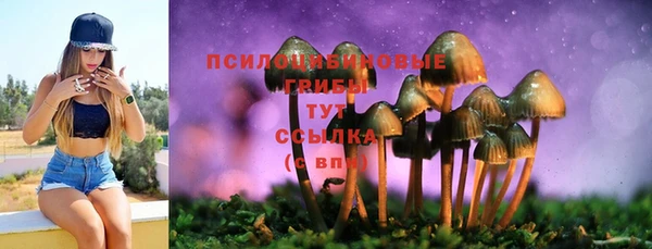 прущие грибы Богородск