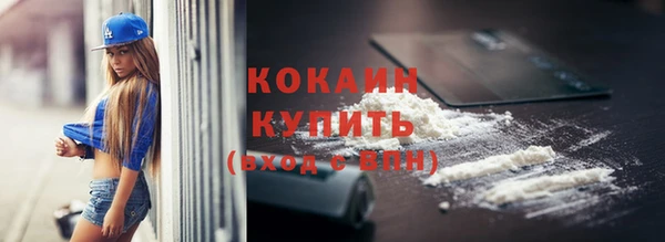 spice Богданович