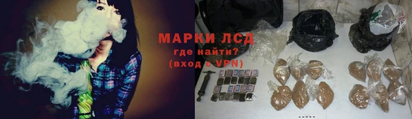 spice Богданович