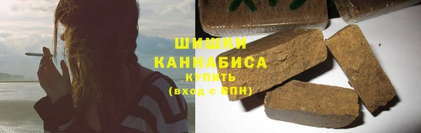 spice Богданович