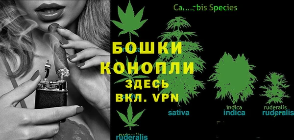 ALPHA PVP Богородицк