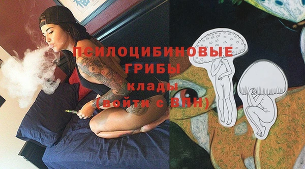 spice Богданович