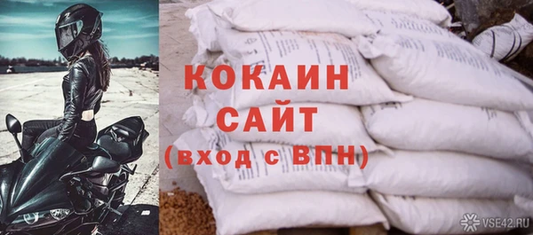 прущие грибы Богородск