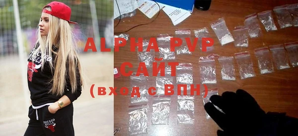 spice Богданович