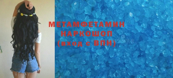 прущие грибы Богородск