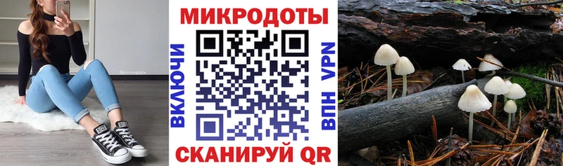 Галлюциногенные грибы MAGIC MUSHROOMS  Дно 